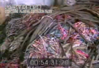 PVC Waste Plastic Recycling Plant